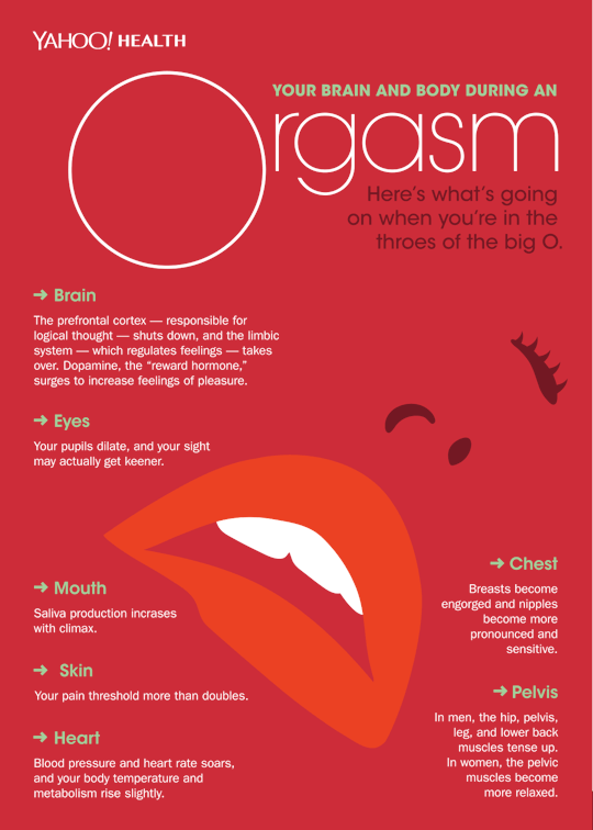What Is An Orgasim And How Does It Feel