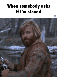 Weed meme thread. Show what you got steal what you don't - #29 by Painfree  - Members Lounge - I Love Growing Marijuana Forum