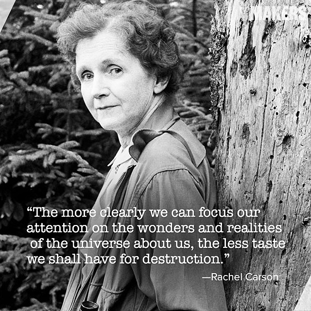 Happy Earth Day!
Today belongs to Rachel Carson, marine biologist and conservationist whose book “Silent Spring” among other works helped popularize the global environmental movement. Keep her words with you today. #earthday #trailblazers #science #nature #rachelcarson