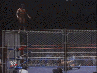 Superfly Jimmy Snuka hitting a top cage splash on Don Muraco