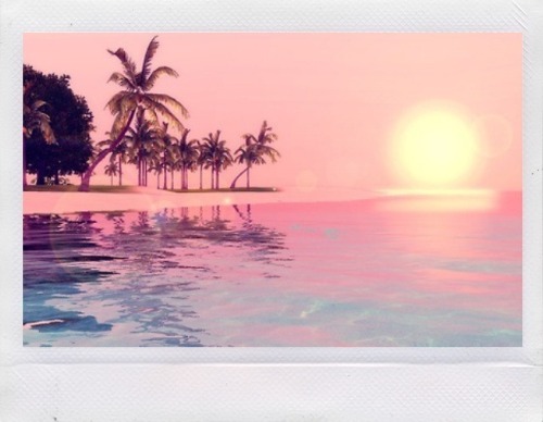 Beach Sunset Palm Tree Tumblr