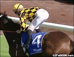 Featured image of post Funny Horse Racing Gif Related gifs you might find interesting