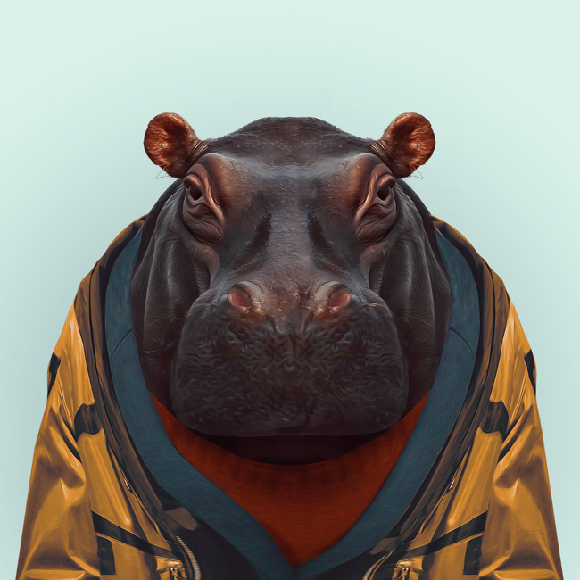 HIPPO by Yago Partal 
for ZOO PORTRAITS