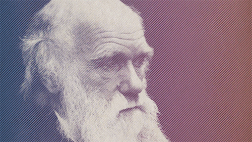 Afbeeldingsresultaten voor Charles Darwinn animated gif