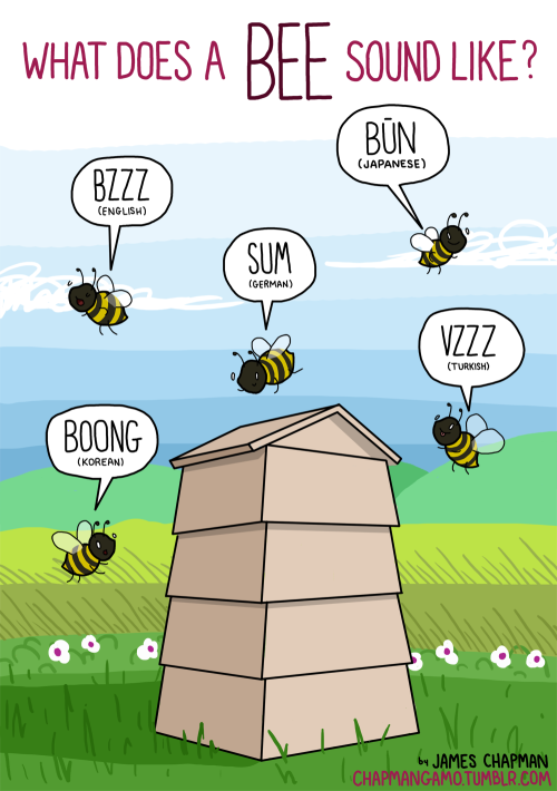 WHAT DOES A BEE SOUND LIKE?
I can&#8217;t imagine listening to a bee and hearing the sound BOONG.I can&#8217;t imagine listening to anything ever and hearing the sound BOONG.
As far as I&#8217;m concerned, boong is not a sound.
