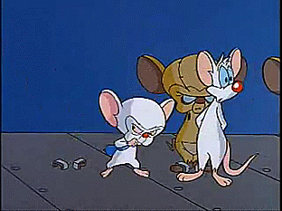 pinky and the brain on Tumblr