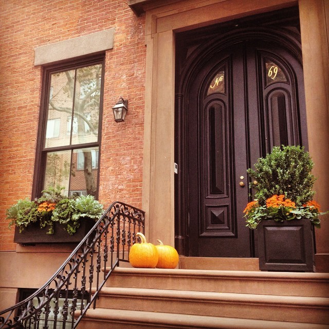katetodate:

Fall in Brooklyn Heights.