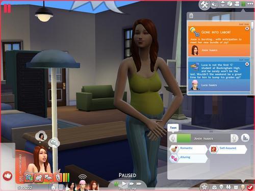 NEW! The Sims 4 Incest Modl