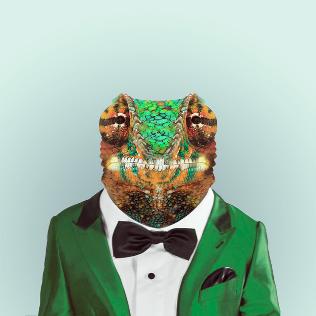 CHAMELEON by Yago Partal 
for ZOO PORTRAITS