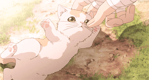 Featured image of post Anime Cartoon Kitten Anime Cute Kawaii Cat / Anime neko pet anime cute anime cat anime kitten kitten cartoon anime animals anime kawaii cute animals kitten drawing.