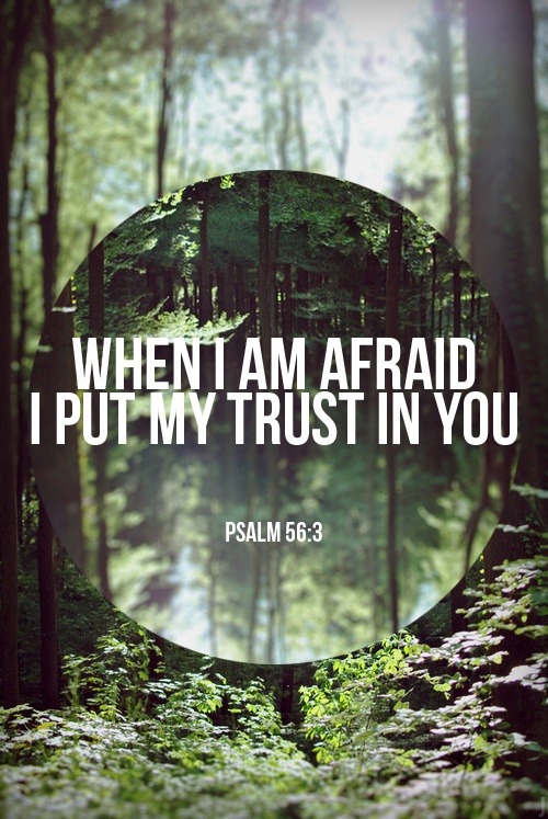 
Psalm 56:3 (ESV)When I am afraid,    I put my trust in you.
