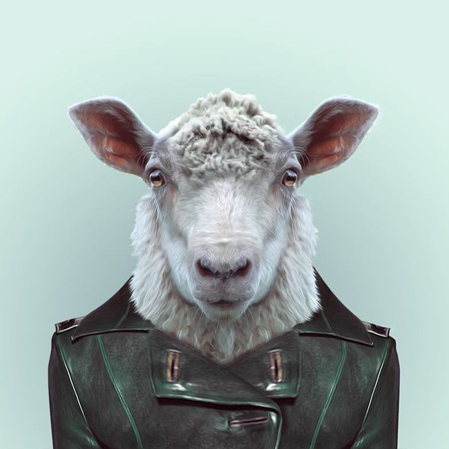 SHEEP by Yago Partal 
for ZOO PORTRAITS