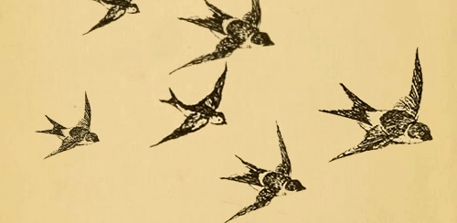 smithsonianlibraries:

Funny how International Migratory Bird Day always seems to fly by… The Birds of Berwickshire, 1889