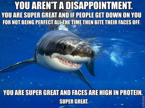 Great white shark with message: 