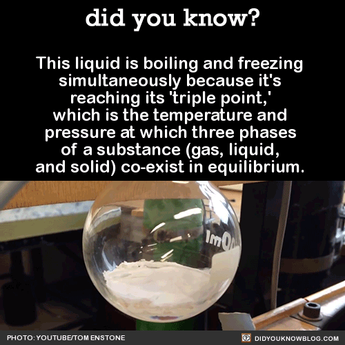 all-signs:

did-you-kno:

This liquid is boiling and freezing simultaneously because it’s reaching its ‘triple point,’ which is the temperature and pressure at which three phases of a substance (gas, liquid, and solid) co-exist in equilibrium.  Source

We’ve glitched out the universe.  The physics engine does not have the processing power to deal with this shit.
