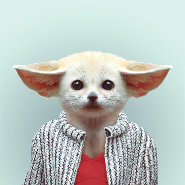 FENNEC FOX by Yago Partal 
for ZOO PORTRAITS