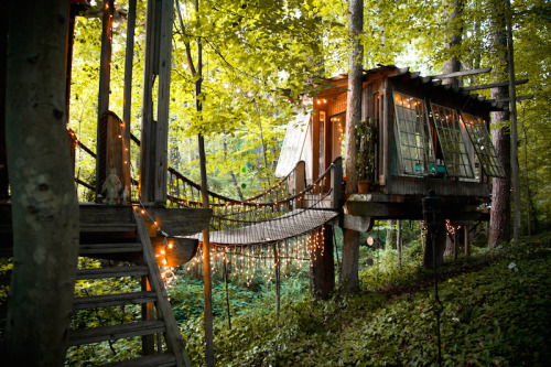 Treehouse by Peter Bahouth | Posted by CJWHO.com