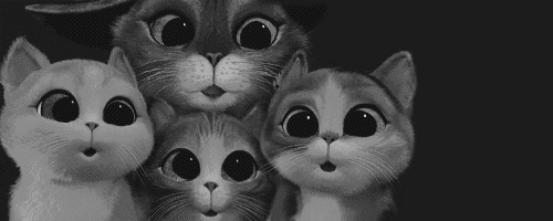 gif fofo animal animais preto e branco gato fofinho olhos natureza gatos  olho desenho animado boca anw gatinho gif preto e branco gatinhos mosca  mosquito Desenhos animados deb0a •