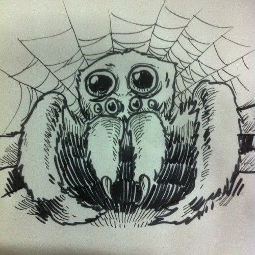 #inktober #drawlloween Day 01&#160;: #Spider #latepost