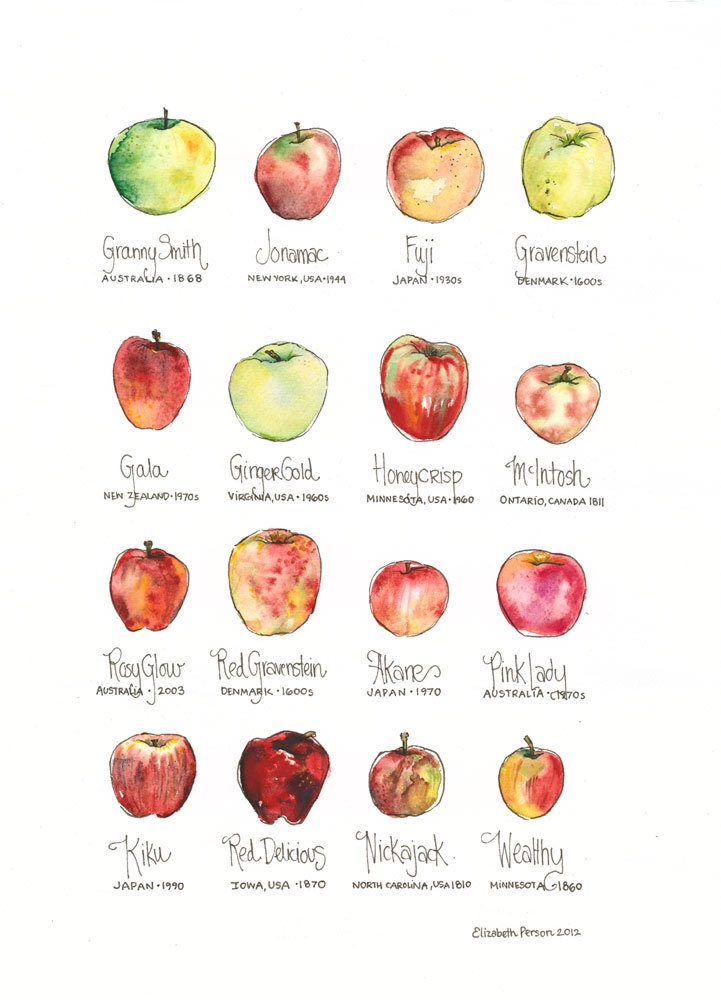 apple chart // source