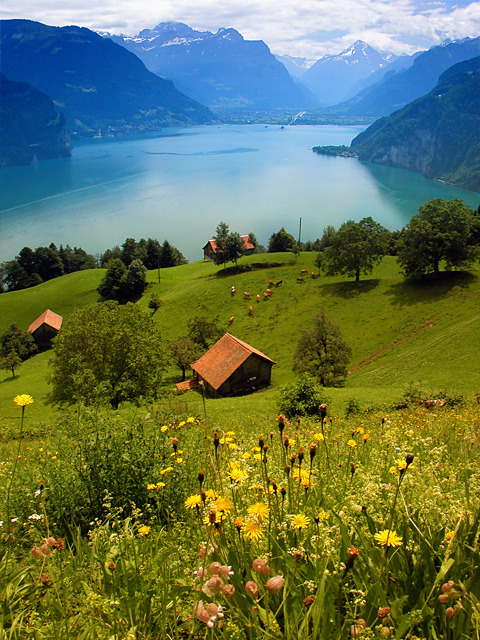 Swiss Farm on Lake Lucern
by snak