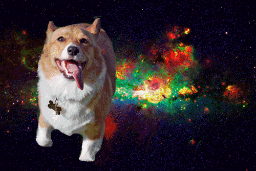 Space Dog incoming !
