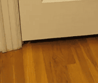 asurfacinglight:

“The Door is Not a Problem” (via Cat Gif Page)
