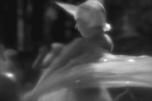 A Midsummer Night&rsquo;s Dream, 1935. Dir.: William Dieterle and Max Reinhardt.