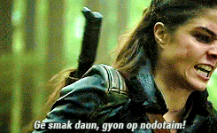 idioma grounders the 100