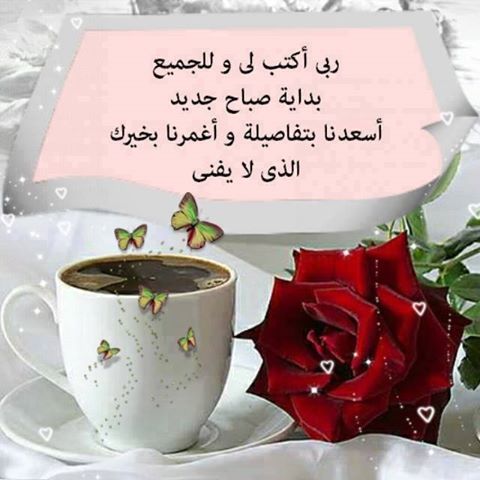 مقهى  ورد الشام.. - صفحة 29 Tumblr_n7eoj58xK21rc003xo1_500