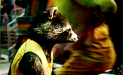 Rocket Raccoon | THE HUNTERS تقرير | The Biggest Idiots In The Universe  Tumblr_n97k0rRWPB1s66zfno7_250