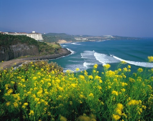 Coastal attractions