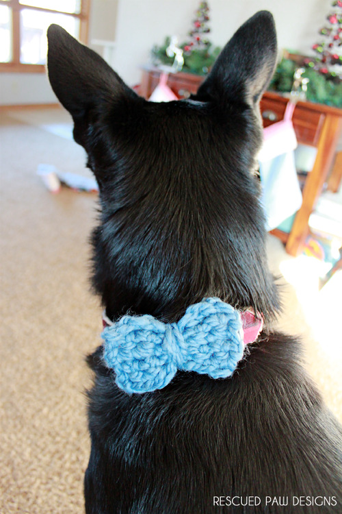 Crochet Bow tie for Dogs