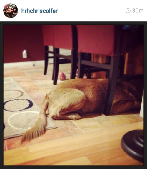 Chris Colfer Instagram - Page 37 Tumblr_nbjrz4sBw91r5u4gao1_500