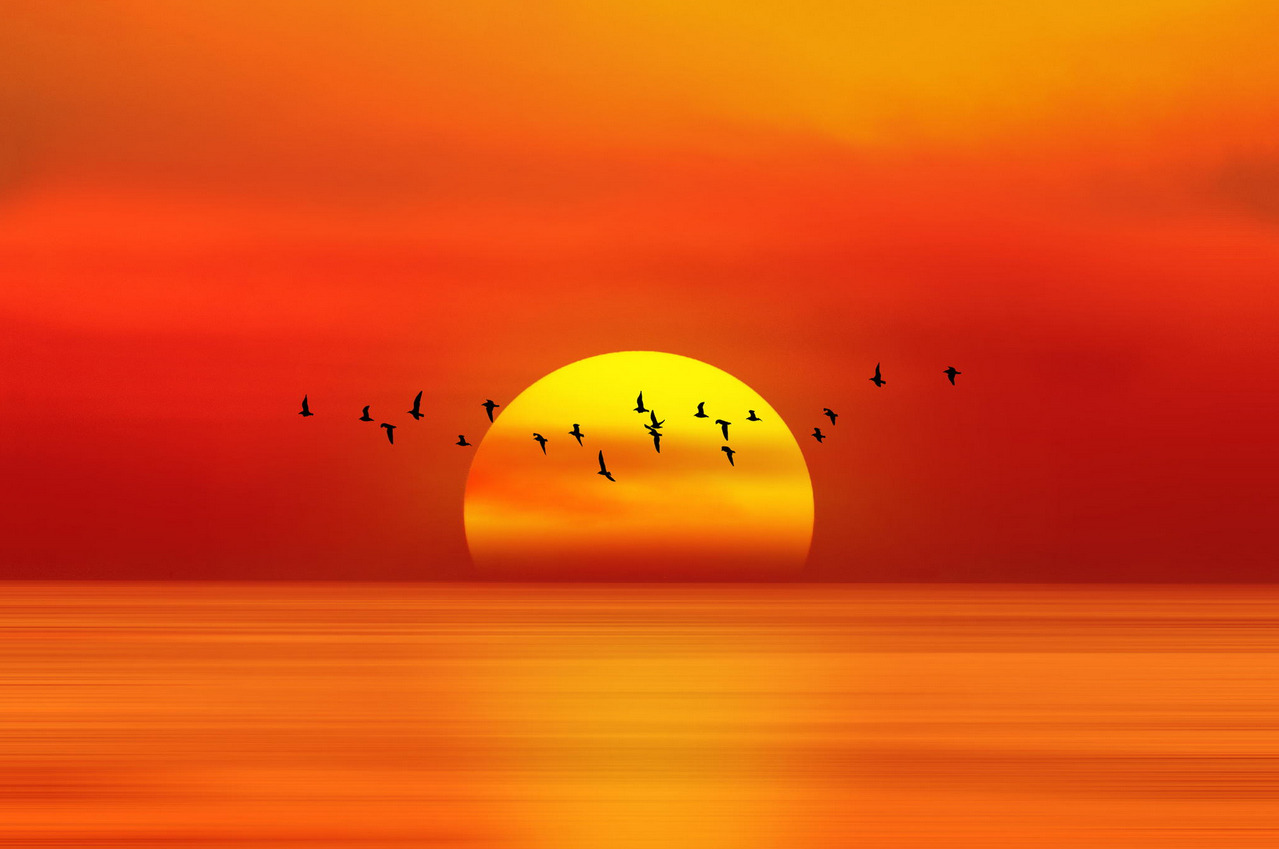 When The Sun Goes Down by Shady S.