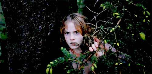 hermione granger prisoner of azkaban gif