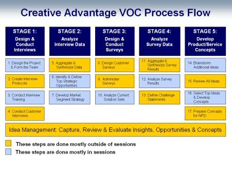 Voice of Customer Process Flow image
