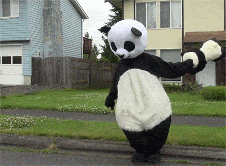 dancing panda gif | Tumblr