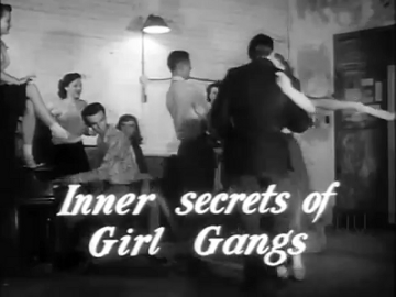 Girl Gang Gif 3