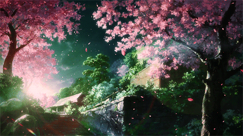 [ÉVENT] Sakura Matsuri ─ Venez faire un vœu ! Tumblr_n8t7yiOXFy1twippyo9_r1_500