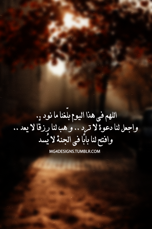 مقهى  ورد الشام.. - صفحة 31 Tumblr_n8bmozqpJf1rkfgdvo1_500