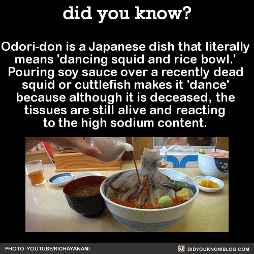 Did you KNOW?! - (and other useless facts!) - Page 2 Tumblr_ntt7jfQm701qkvbwso1_r1_500