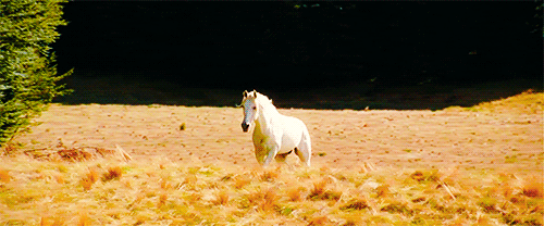 Shadowfax Entrance Lord of the Rings