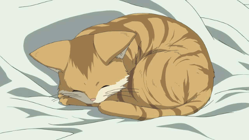 Poch Anime Dog Cat Costume Demon Pet Orange Cloak Pet Anime - Etsy