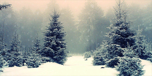 Sve što vas asocira na zimu u fotografiji - Page 11 Tumblr_mwwp6v6yAg1rrt1ozo1_500