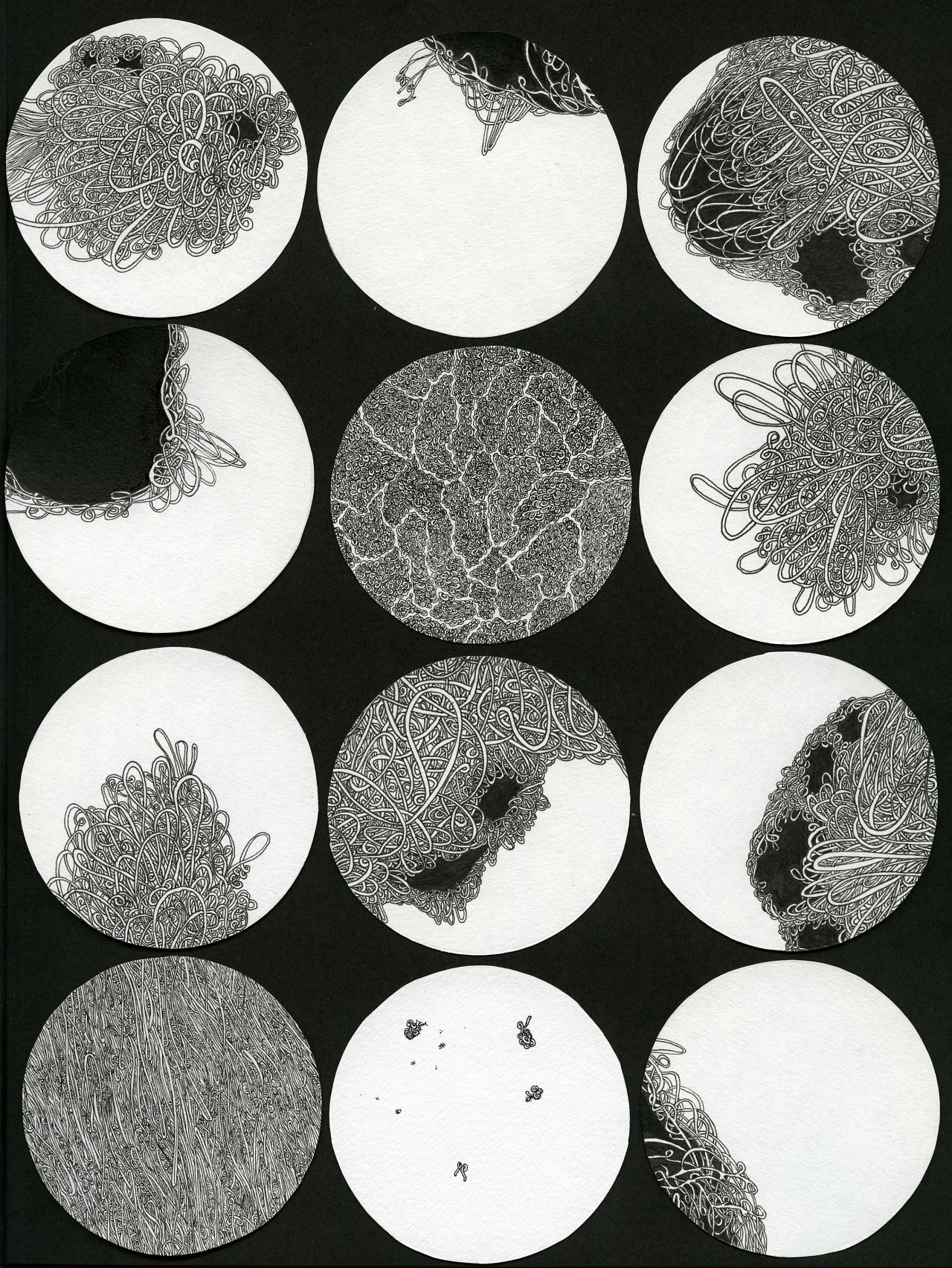 Microscopic view chinese ink on papel 12 X 6.5cm &#8220;Ø&#8221; Lucy Valente Pereira