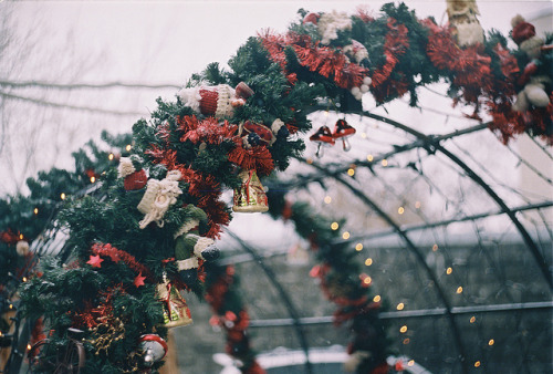 sinkling: Holiday spirit by Anja.Stepanova on Flickr. 