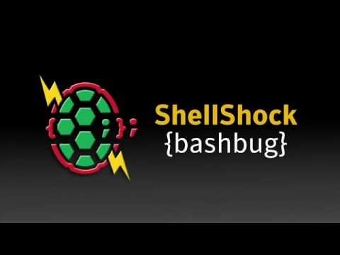 Bash shell scripting