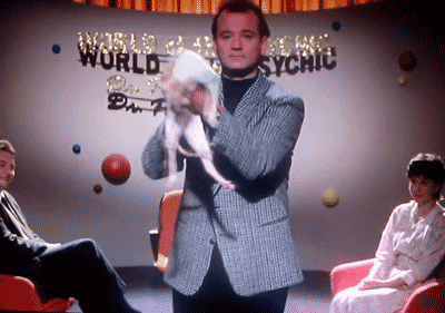 Bill Murray is getting super fancy with this cat.