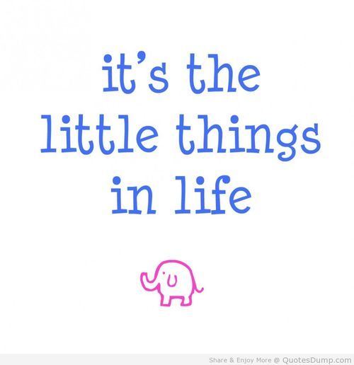 Little things in life quote